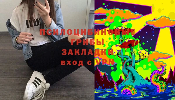 эйфоретик Гусиноозёрск