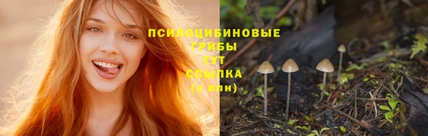 jwh Гусь-Хрустальный
