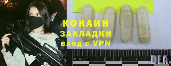 jwh Гусь-Хрустальный