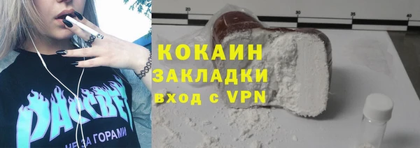 крисы Горняк