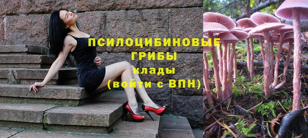 соль ск Горнозаводск